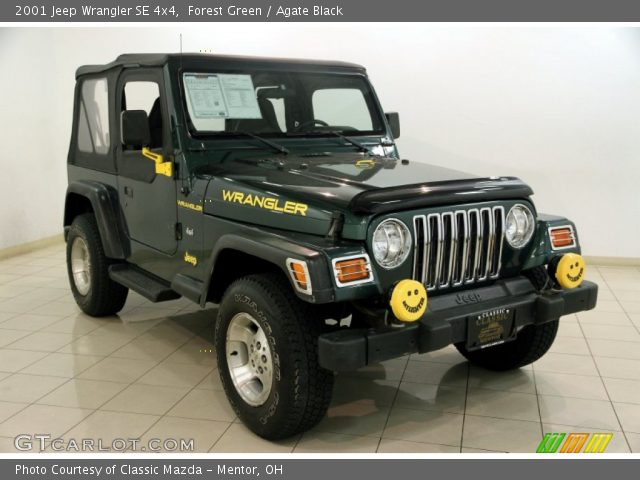 2001 Jeep Wrangler SE 4x4 in Forest Green