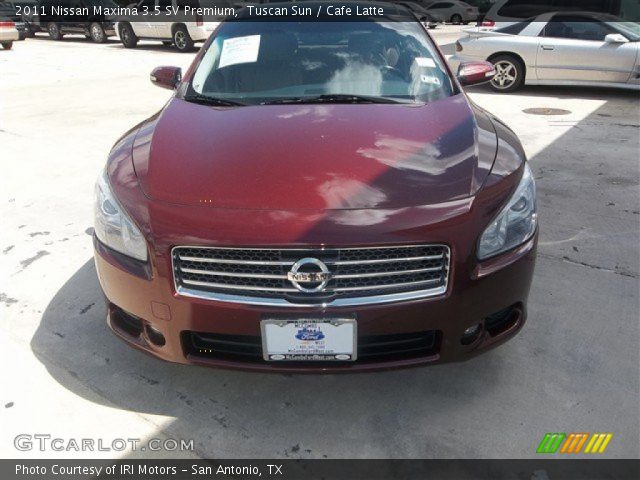 2011 Nissan Maxima 3.5 SV Premium in Tuscan Sun