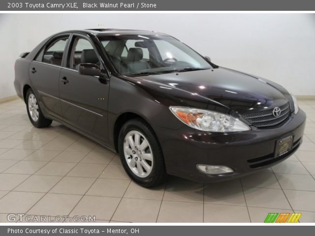 2003 Toyota Camry XLE in Black Walnut Pearl