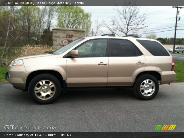 2002 Acura MDX  in Mesa Beige Metallic