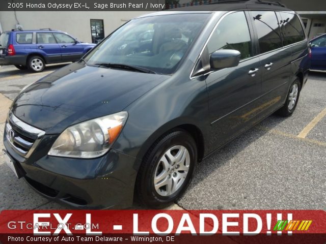 2005 Honda Odyssey EX-L in Sage Brush Pearl