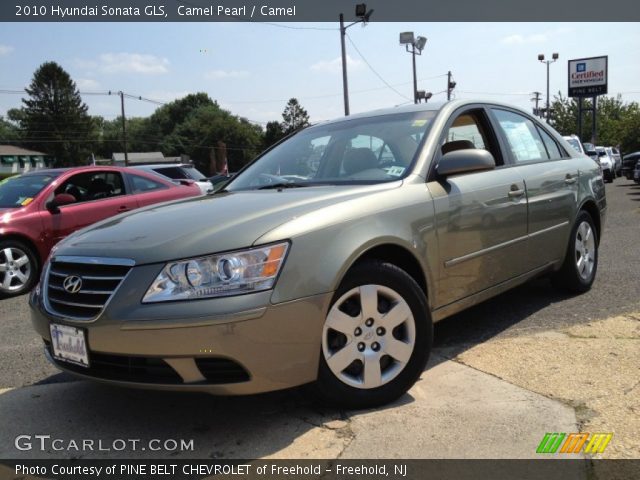 2010 Hyundai Sonata GLS in Camel Pearl