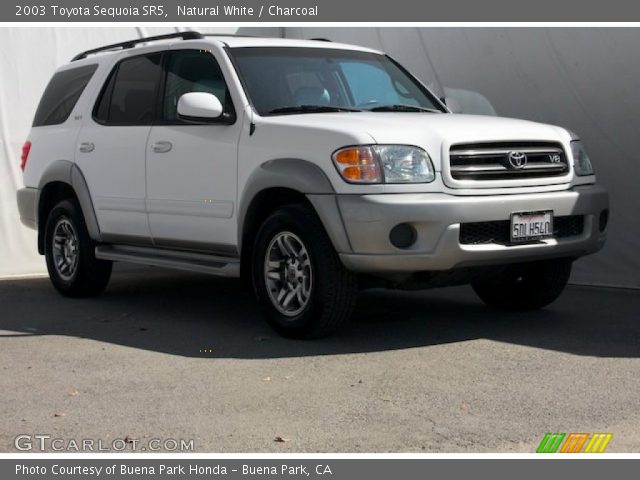 2003 Toyota Sequoia SR5 in Natural White