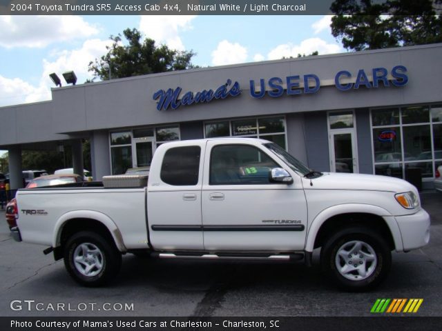 2004 Toyota Tundra SR5 Access Cab 4x4 in Natural White