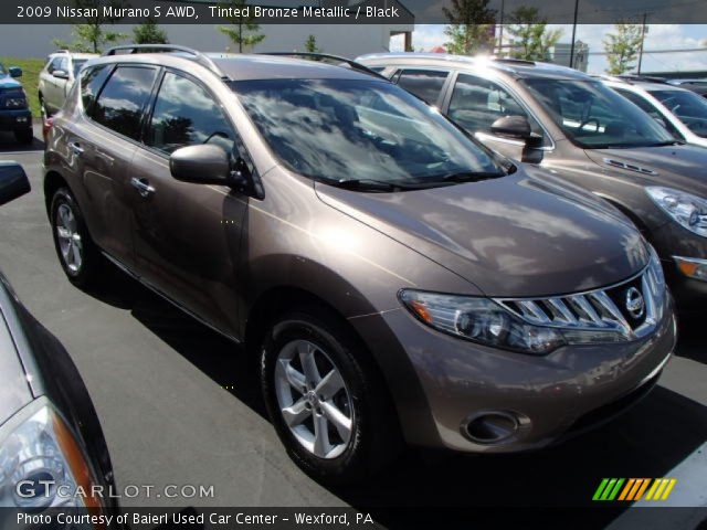 Nissan tinted bronze