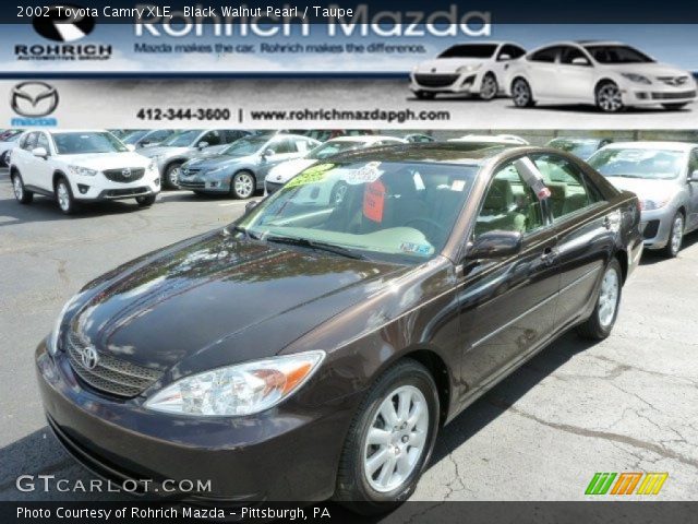 2002 Toyota Camry XLE in Black Walnut Pearl