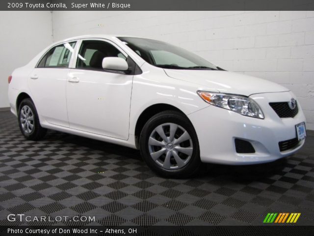 2009 Toyota Corolla  in Super White