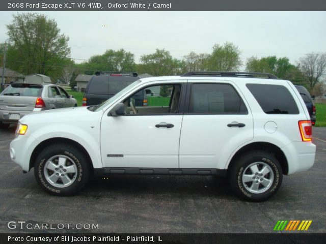 2008 Ford Escape XLT V6 4WD in Oxford White