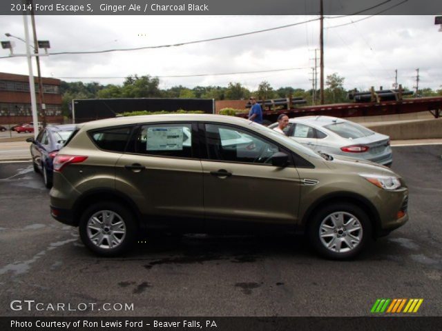 2014 Ford Escape S in Ginger Ale