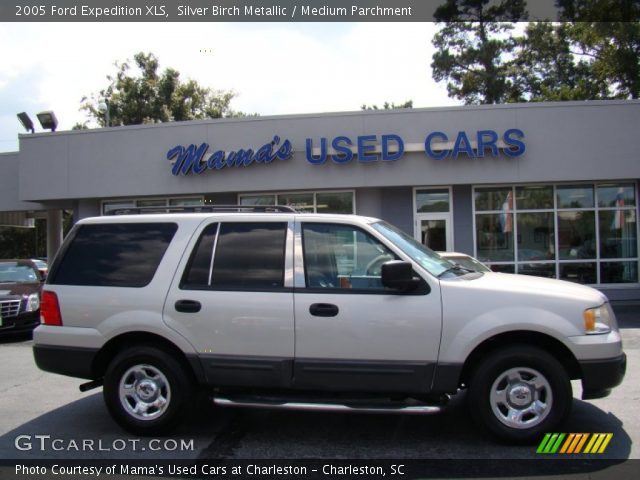 2005 Ford Expedition XLS in Silver Birch Metallic