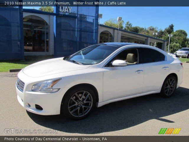 2010 Nissan Maxima 3.5 SV Premium in Winter Frost White