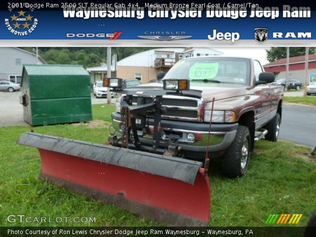 2001 Dodge Ram 2500 SLT Regular Cab 4x4 in Medium Bronze Pearl Coat