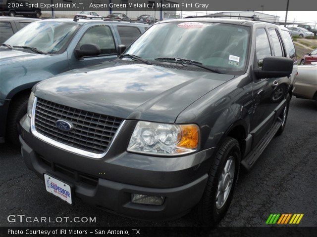 2004 Ford Expedition XLT in Aspen Green Metallic