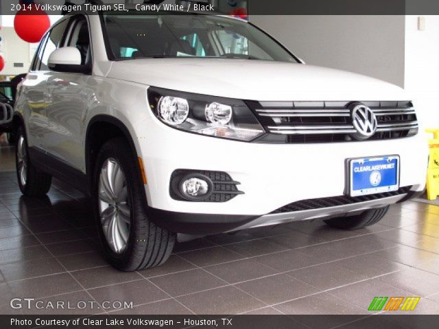 2014 Volkswagen Tiguan SEL in Candy White