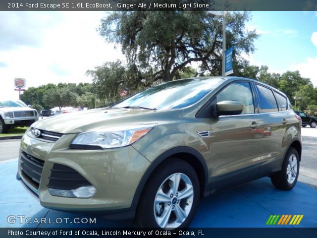 2014 Ford Escape SE 1.6L EcoBoost in Ginger Ale