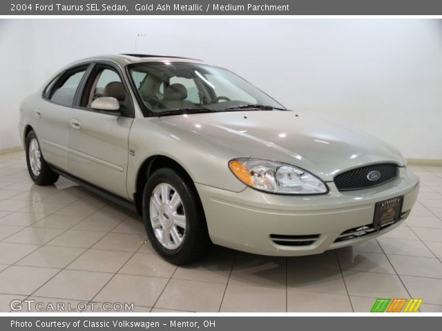 2004 Ford Taurus SEL Sedan in Gold Ash Metallic