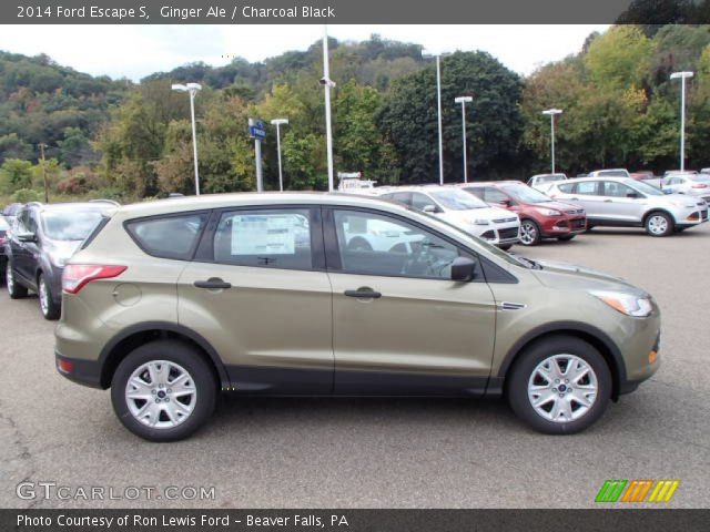 2014 Ford Escape S in Ginger Ale