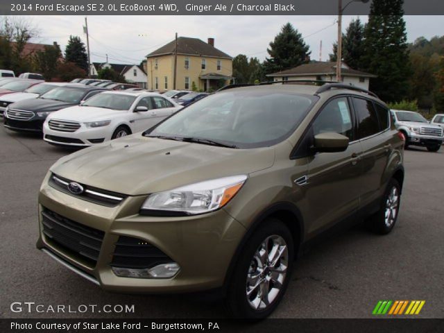 2014 Ford Escape SE 2.0L EcoBoost 4WD in Ginger Ale