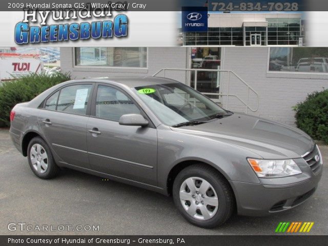 2009 Hyundai Sonata GLS in Willow Gray
