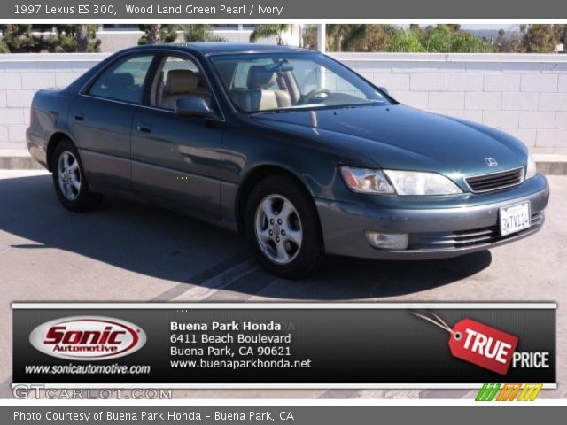 1997 Lexus ES 300 in Wood Land Green Pearl