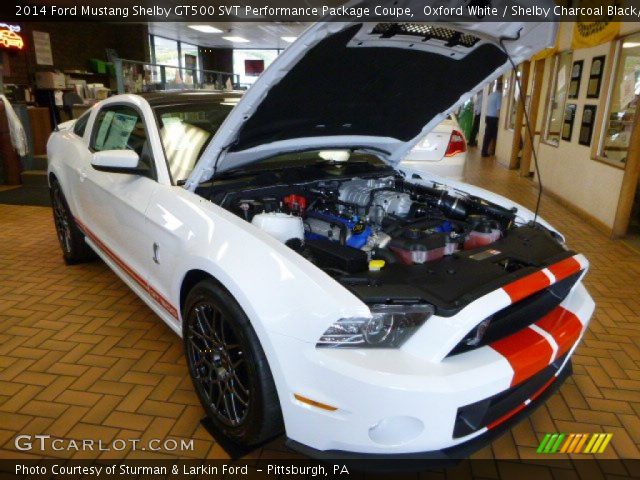 2014 Ford Mustang Shelby GT500 SVT Performance Package Coupe in Oxford White