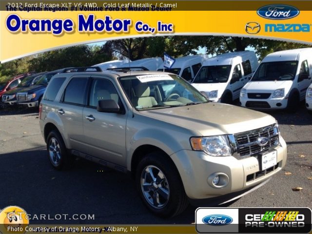 2012 Ford Escape XLT V6 4WD in Gold Leaf Metallic