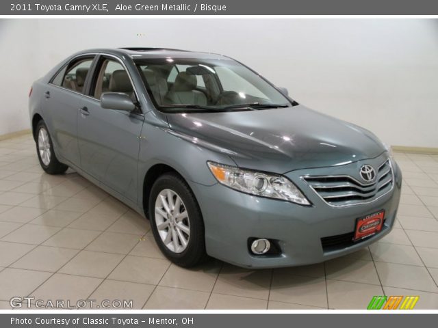 2011 Toyota Camry XLE in Aloe Green Metallic