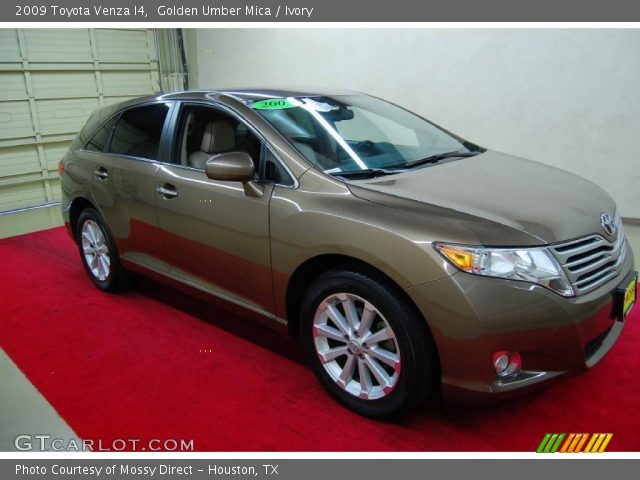 2009 Toyota Venza I4 in Golden Umber Mica