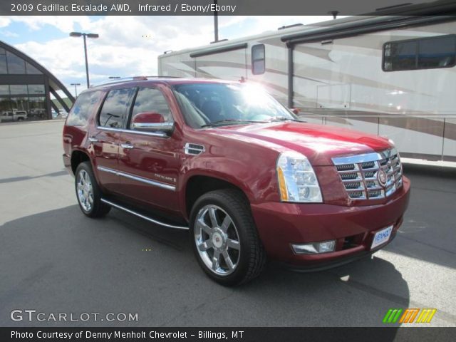2009 Cadillac Escalade AWD in Infrared