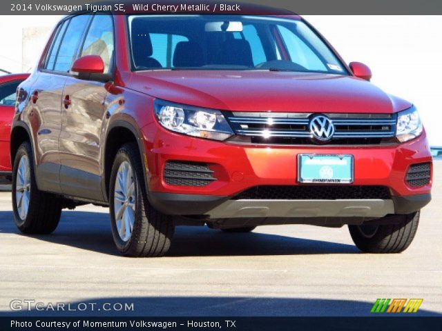 2014 Volkswagen Tiguan SE in Wild Cherry Metallic
