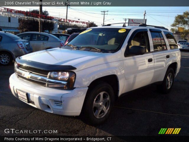 2006 Chevrolet TrailBlazer LS 4x4 in Summit White