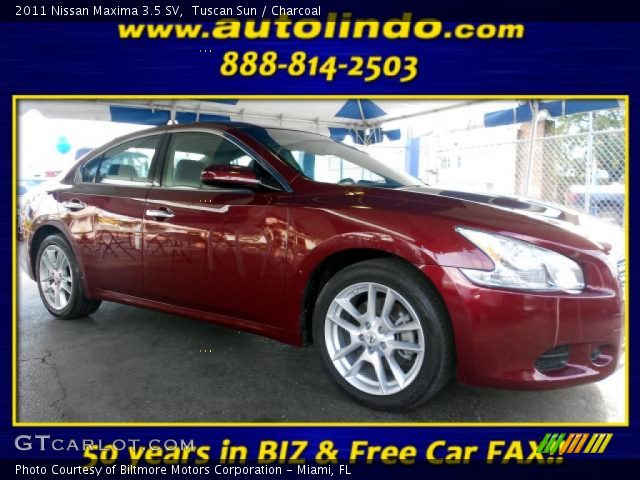 2011 Nissan Maxima 3.5 SV in Tuscan Sun