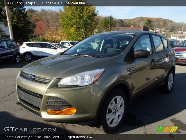 2014 Ford Escape S in Ginger Ale