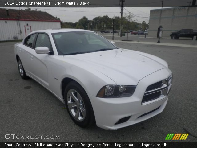 2014 Dodge Charger R/T in Bright White