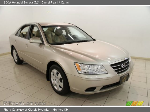 2009 Hyundai Sonata GLS in Camel Pearl
