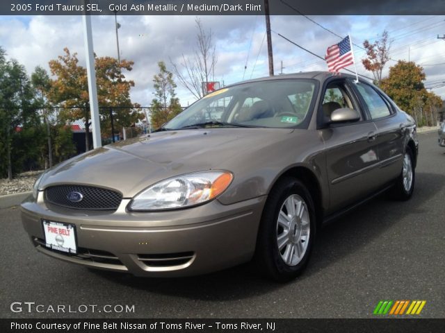 2005 Ford Taurus SEL in Gold Ash Metallic