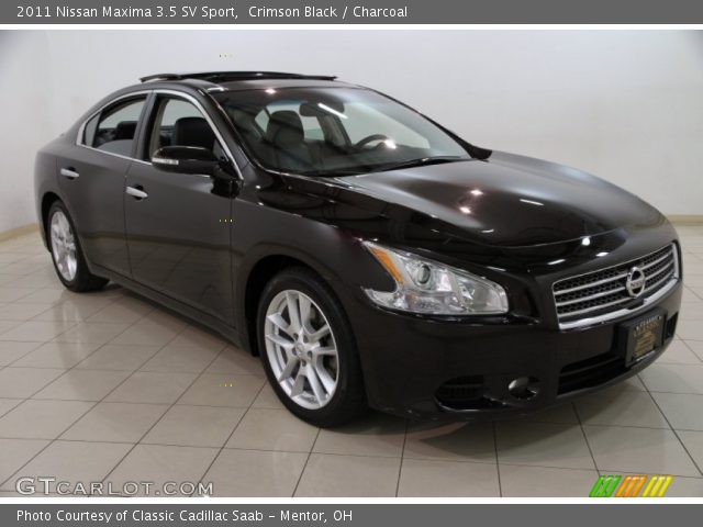 2011 Nissan Maxima 3.5 SV Sport in Crimson Black