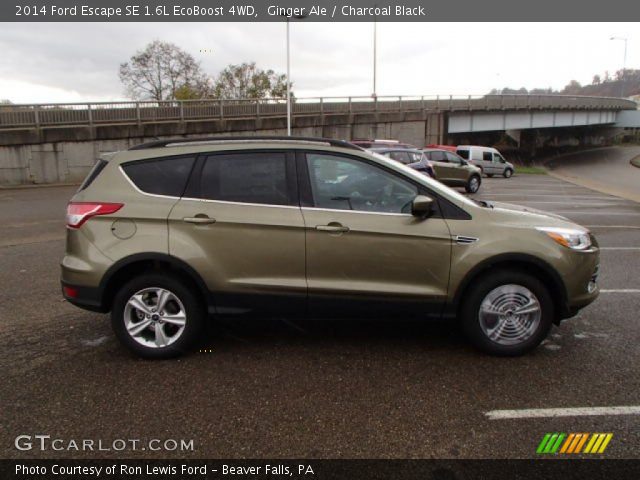 2014 Ford Escape SE 1.6L EcoBoost 4WD in Ginger Ale