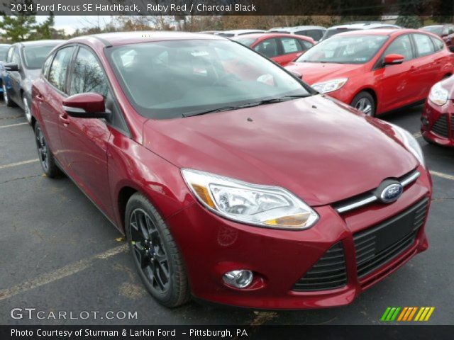 2014 Ford Focus SE Hatchback in Ruby Red