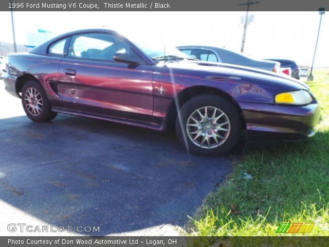 1996 Ford Mustang V6 Coupe in Thistle Metallic