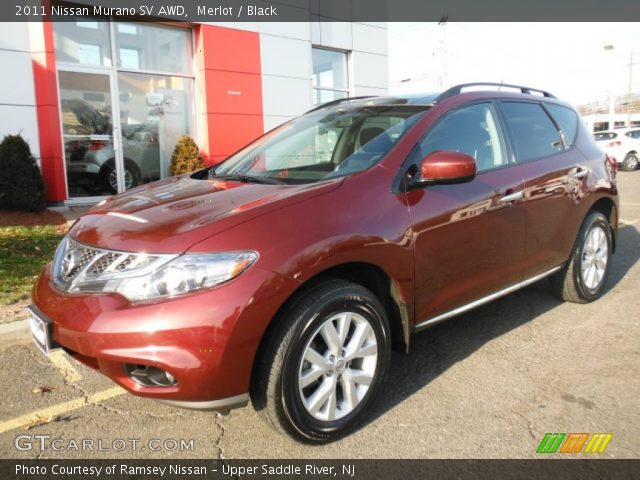 2011 Nissan Murano SV AWD in Merlot