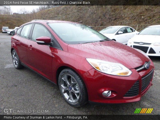 2014 Ford Focus SE Hatchback in Ruby Red