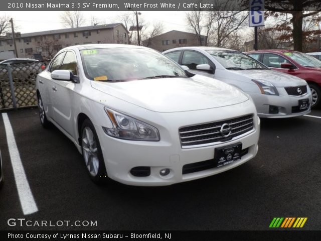 2010 Nissan Maxima 3.5 SV Premium in Winter Frost White