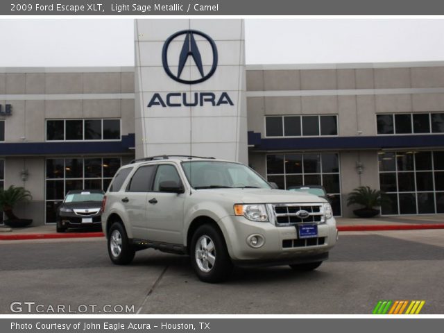 2009 Ford Escape XLT in Light Sage Metallic