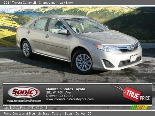 2014 Toyota Camry LE in Champagne Mica