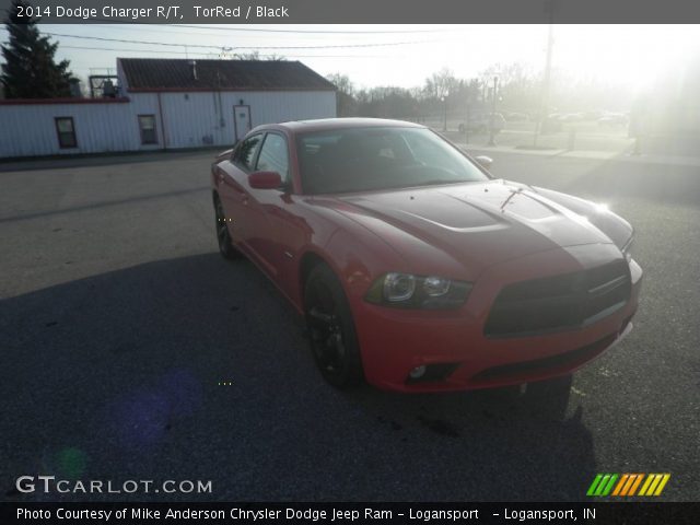 2014 Dodge Charger R/T in TorRed