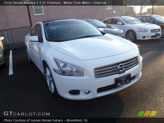 2010 Nissan Maxima 3.5 SV Premium in Winter Frost White