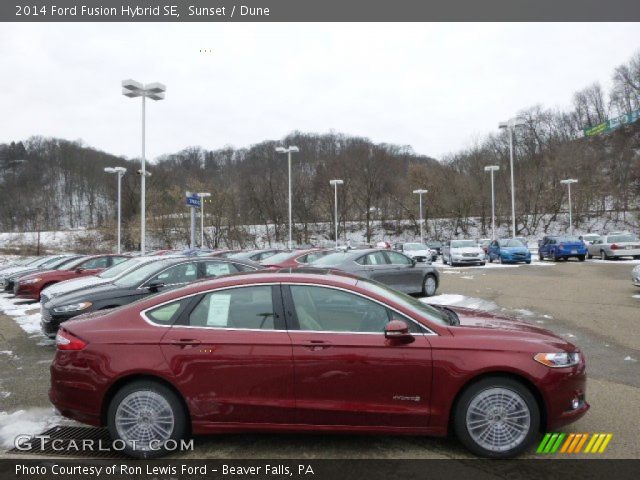 2014 Ford Fusion Hybrid SE in Sunset