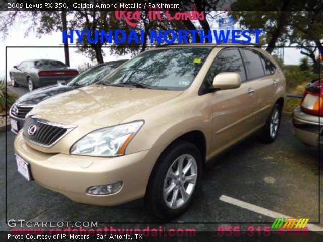 2009 Lexus RX 350 in Golden Almond Metallic