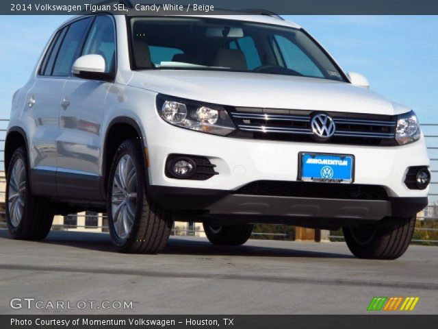 2014 Volkswagen Tiguan SEL in Candy White